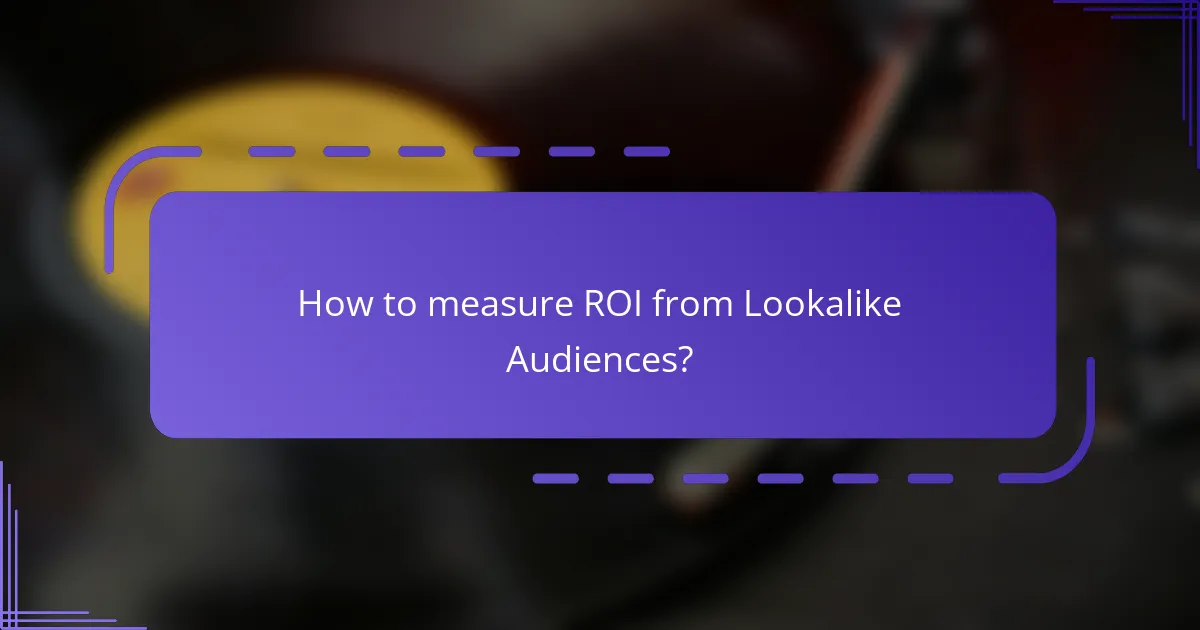 How to measure ROI from Lookalike Audiences?
