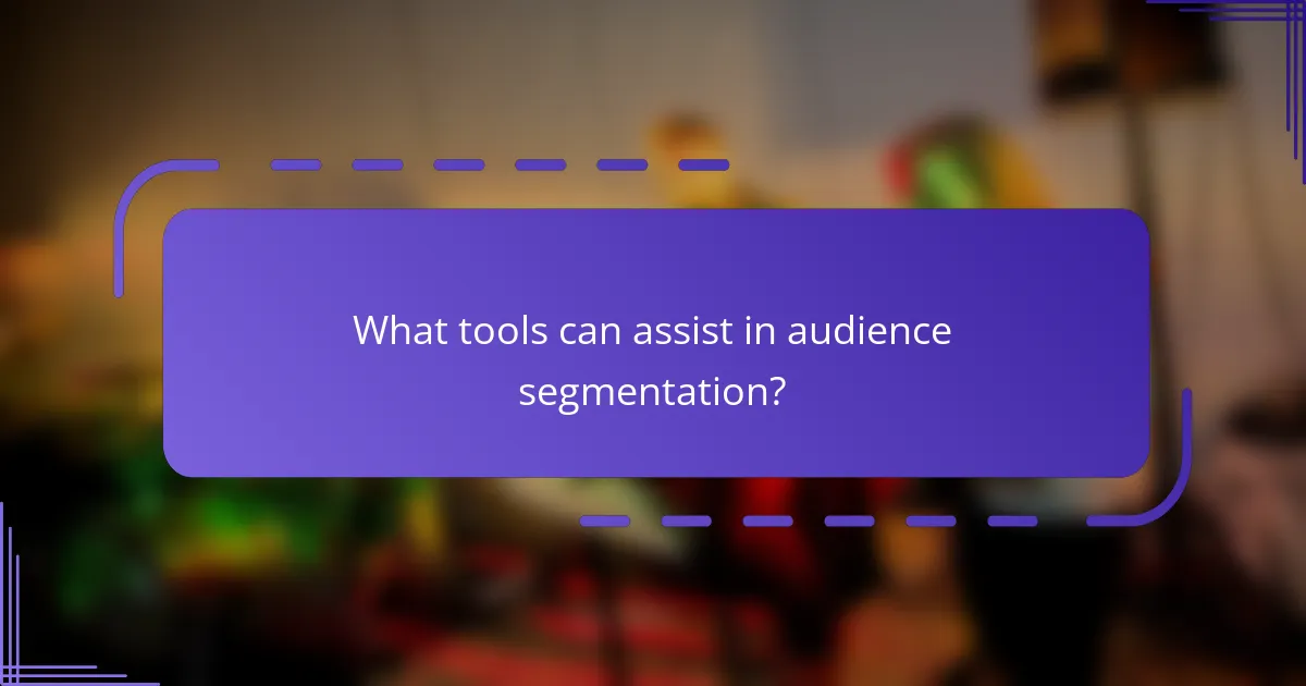 What tools can assist in audience segmentation?